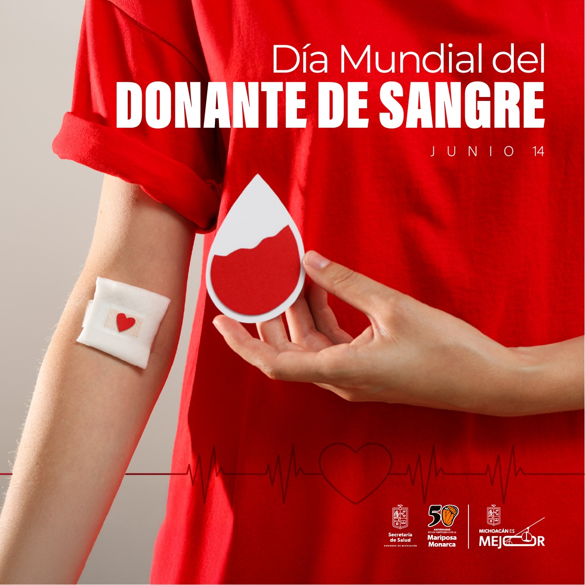 SSM brinda sangre segura y libre de agentes infecciosos SSM brinda sangre segura y libre de agentes infecciosos