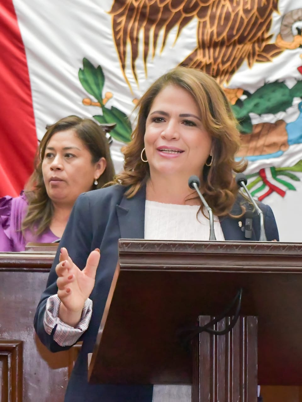 Atender a mujeres cuidadoras, propone iniciativa de Fabiola Alanís Atender a mujeres cuidadoras, propone iniciativa de Fabiola Alanís