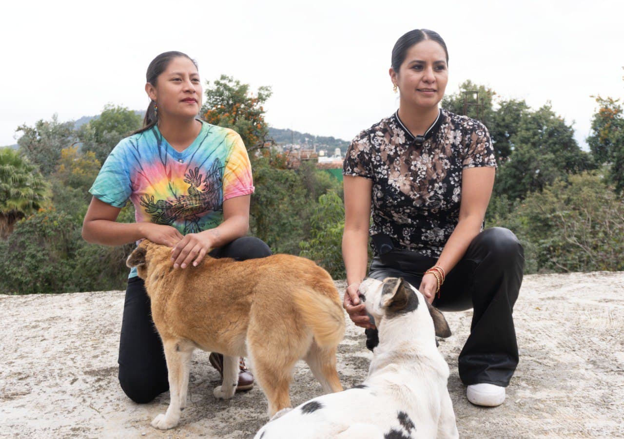Celeste Ascencio busca el bienestar animal en Michoacán Celeste Ascencio busca el bienestar animal en Michoacán