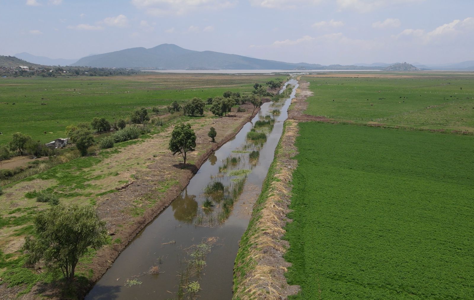 Rescate del canal de Erongarícuaro revitaliza ecosistema y economía local: Compesca Rescate del canal de Erongarícuaro revitaliza ecosistema y economía local: Compesca