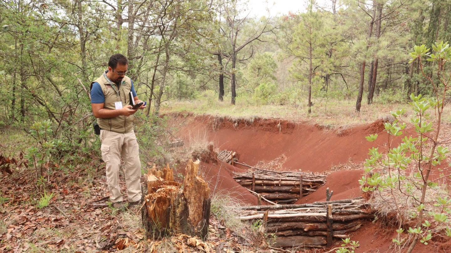 Proam verifica reparación de daños ambientales en Uruapan y Morelia Proam verifica reparación de daños ambientales en Uruapan y Morelia