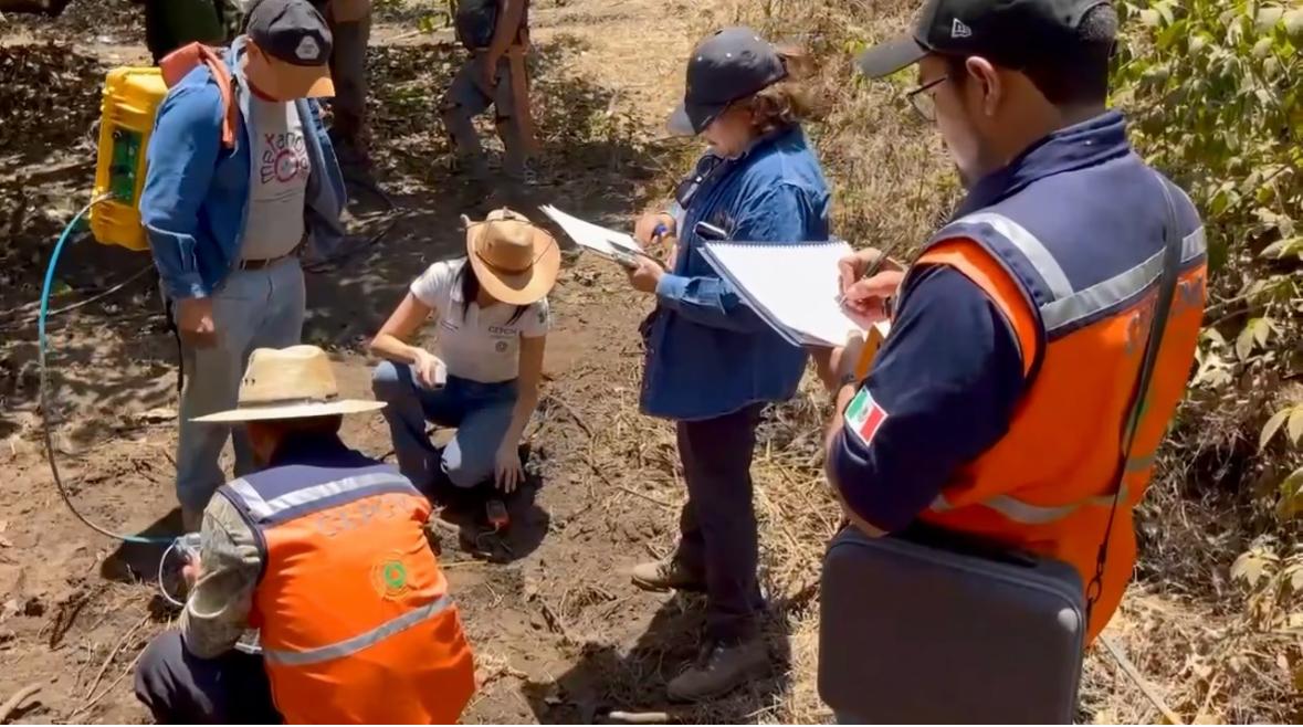 Combustión subterránea: Investigadores revelan causas de fenómeno en zona agrícola de Uruapan Combustión subterránea: Investigadores revelan causas de fenómeno en zona agrícola de Uruapan
