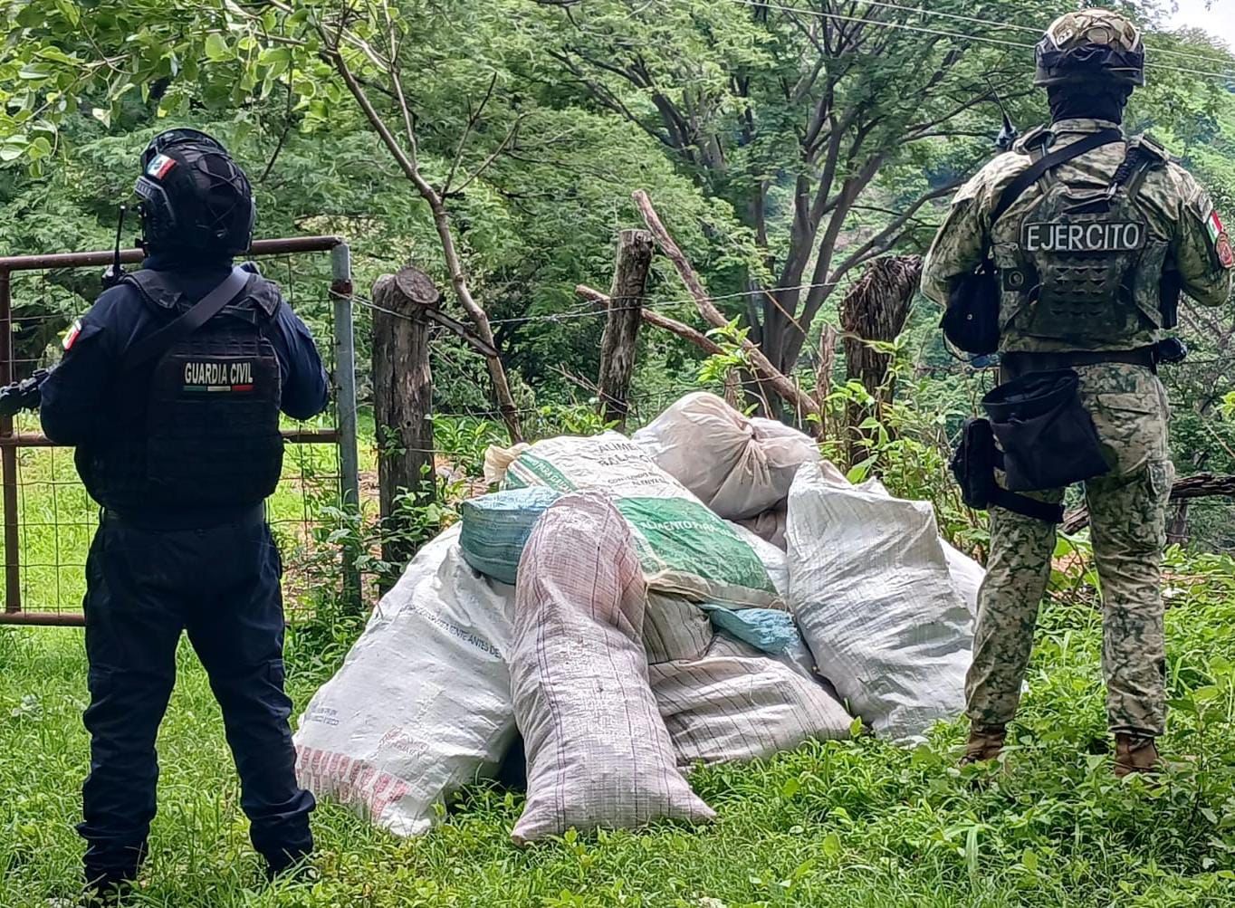Localizados 16 costales de marihuana en Tuzantla: SSP Localizados 16 costales de marihuana en Tuzantla: SSP