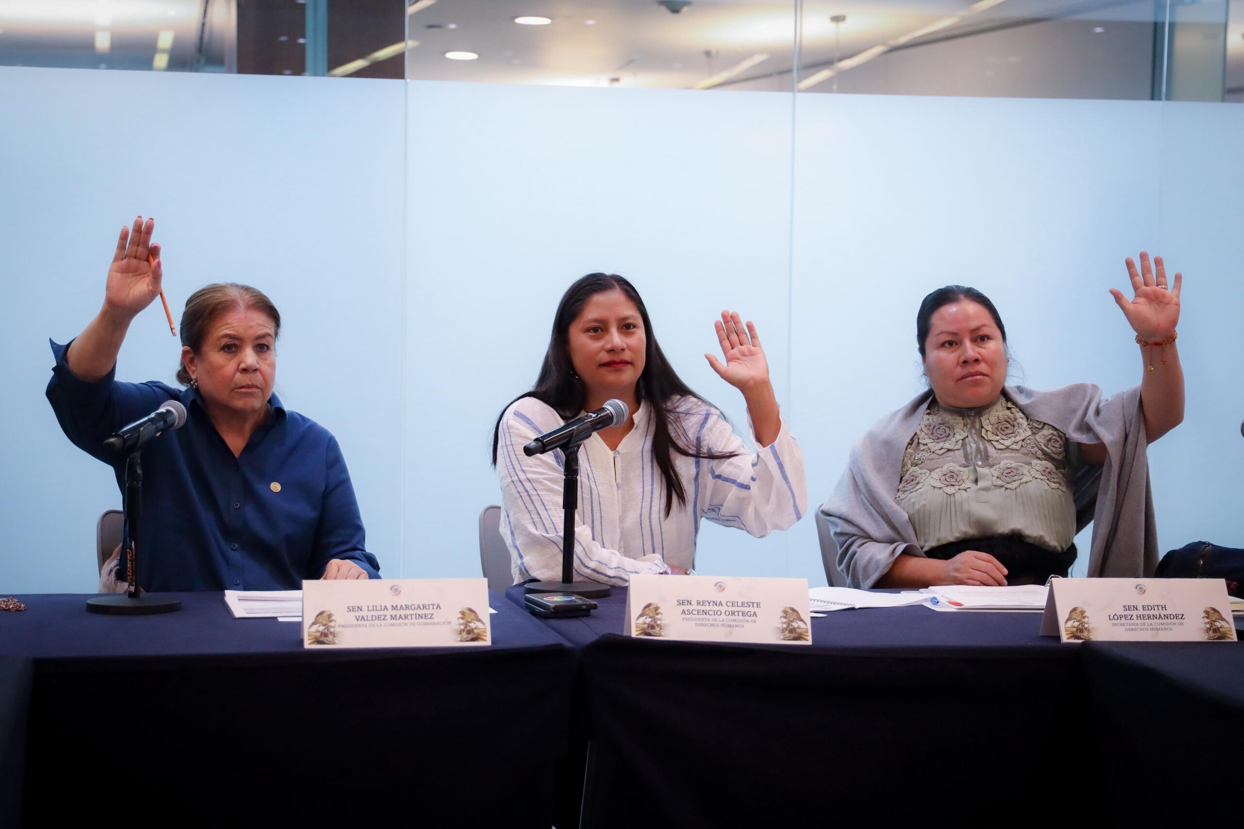 Celeste Ascencio: Avanza el proceso para la designación del Consejo Ciudadano para la Búsqueda de Personas Desaparecidas