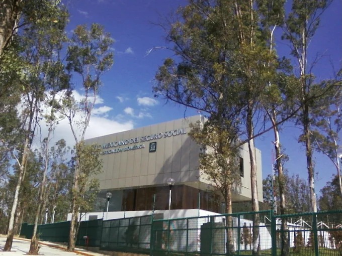 Recomienda IMSS Michoacán cuidar salud cerebral y evitar factores que deterioren su funcionamiento Recomienda IMSS Michoacán cuidar salud cerebral y evitar factores que deterioren su funcionamiento