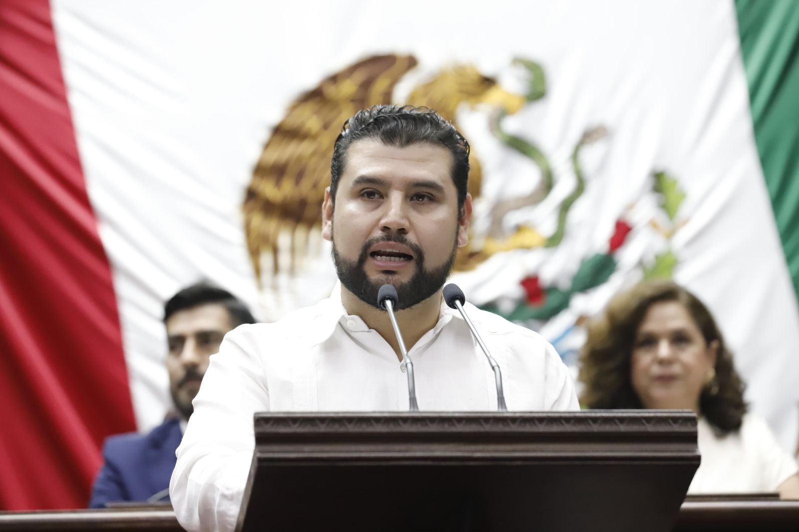 Ocampo propone aumentar penas por delitos contra adultos mayores ante alza en denuncias en Michoacán Ocampo propone aumentar penas por delitos contra adultos mayores ante alza en denuncias en Michoacán