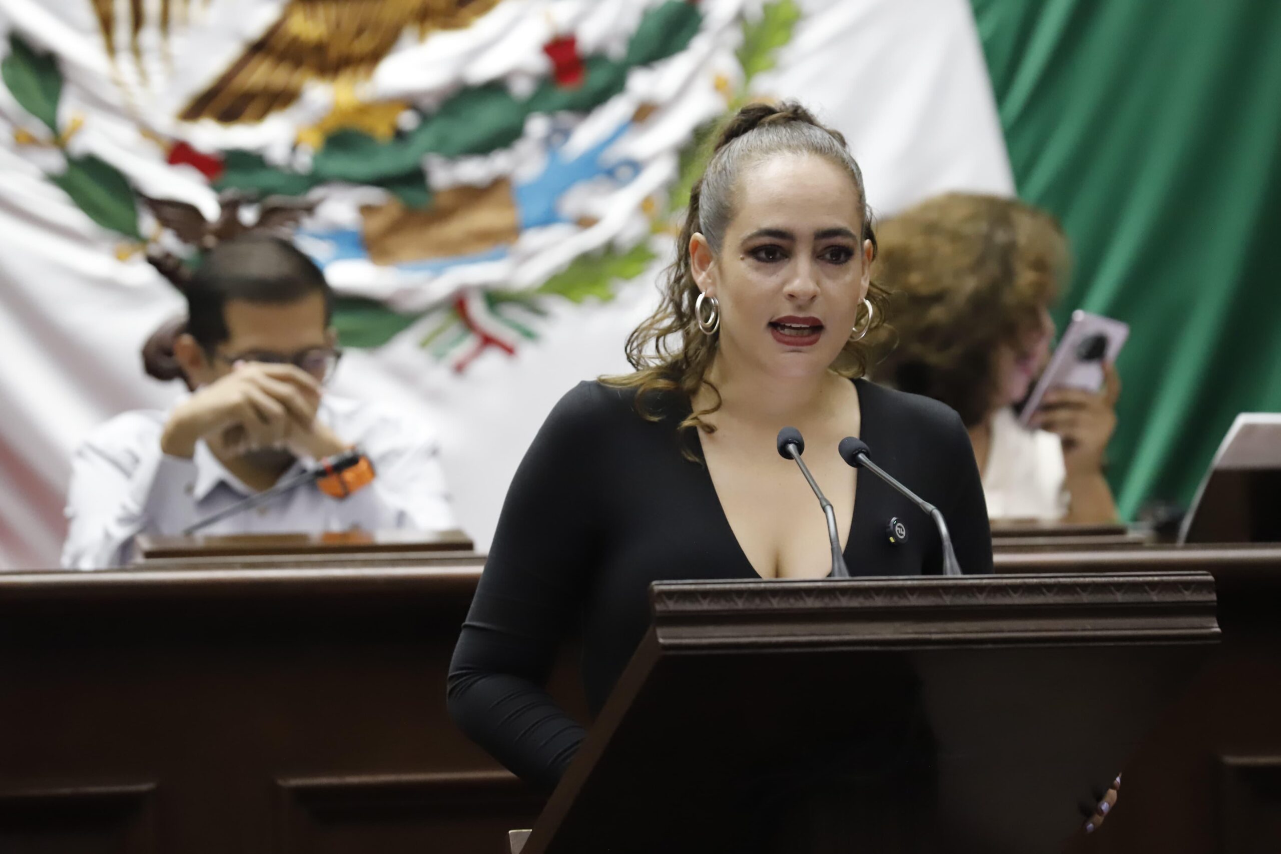 Presenta Sandra Arreola iniciativa para frenar daño ambiental por cultivo de aguacate Presenta Sandra Arreola iniciativa para frenar daño ambiental por cultivo de aguacate