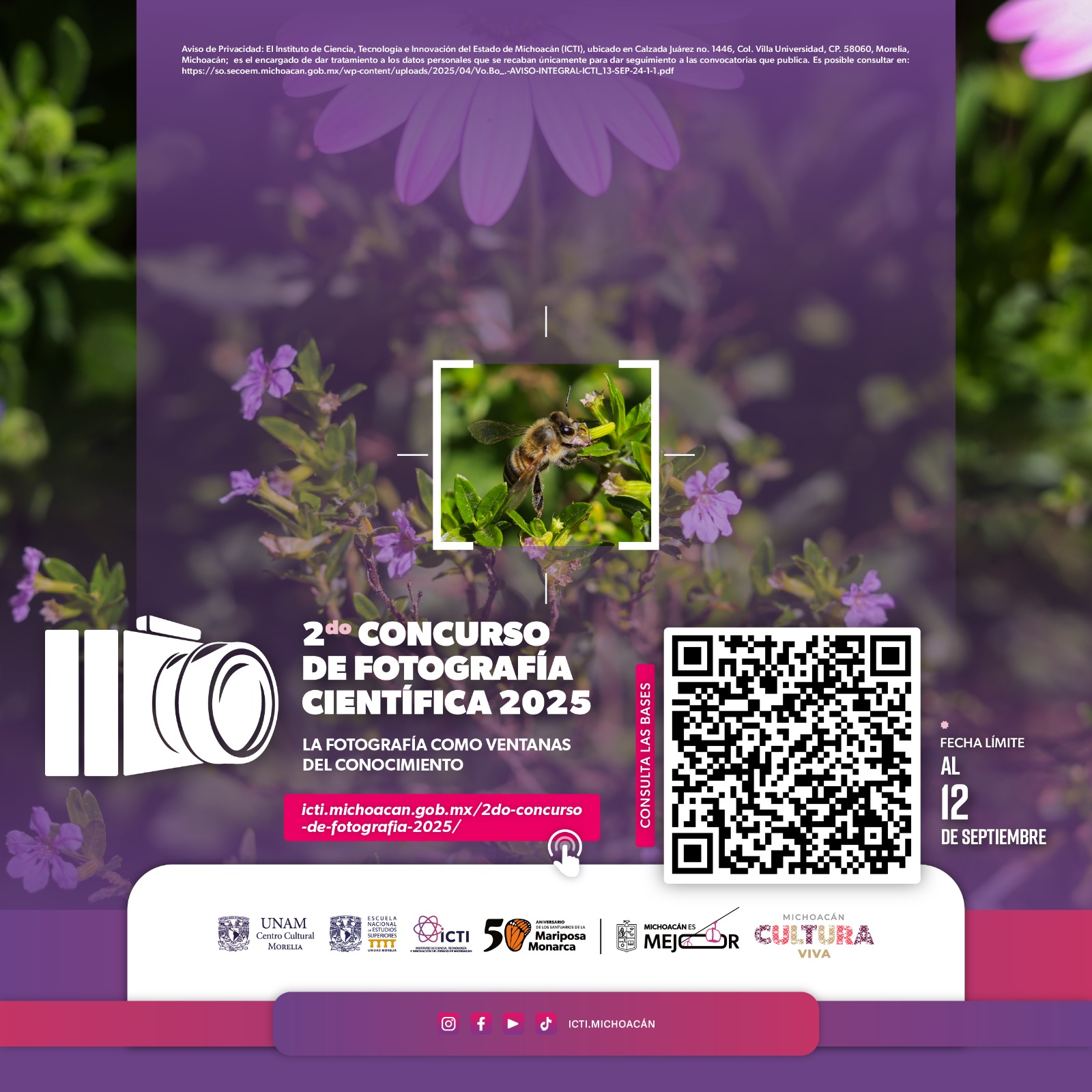 Si amas la ciencia y la fotografía, este concurso de foto científica es para ti: ICTI Si amas la ciencia y la fotografía, este concurso de foto científica es para ti: ICTI