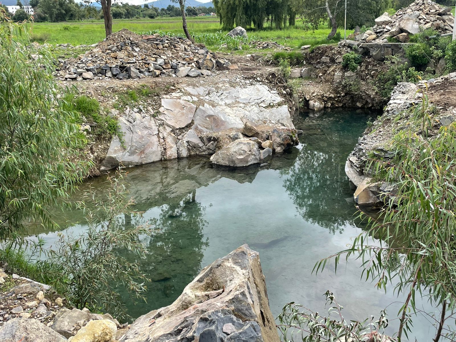 Rescate del canal de Tzentzénguaro revitaliza el lago de Pátzcuaro: Compesca Rescate del canal de Tzentzénguaro revitaliza el lago de Pátzcuaro: Compesca