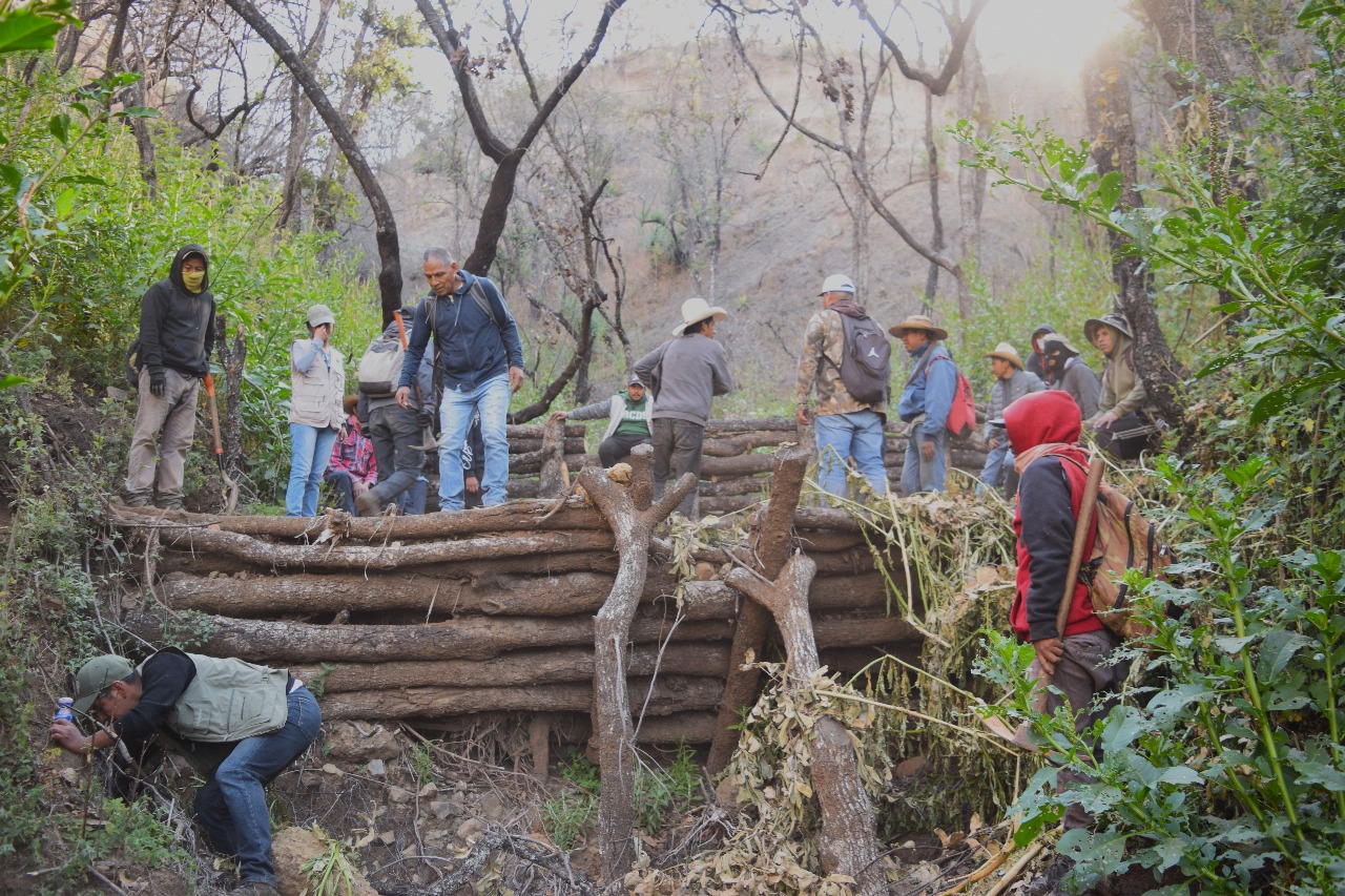 Así prepara la Cofom los suelos dañados por incendios antes de reforestar Así prepara la Cofom los suelos dañados por incendios antes de reforestar