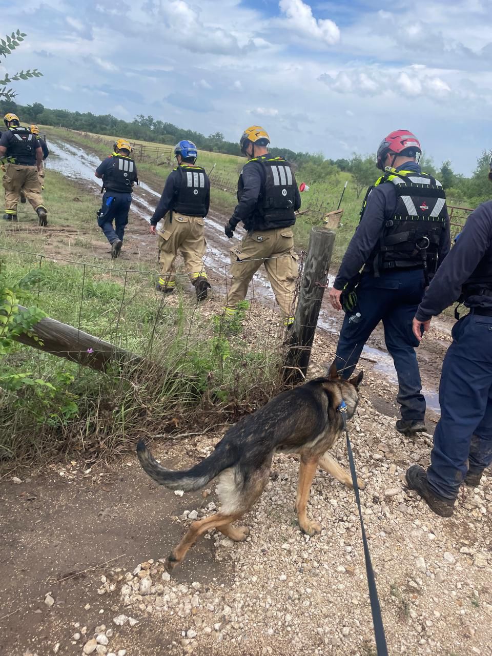 Agentes de la Unidad Canina de la FGE Michoacán participan en labores de búsqueda de personas desaparecidas en Texas Agentes de la Unidad Canina de la FGE Michoacán participan en labores de búsqueda de personas desaparecidas en Texas