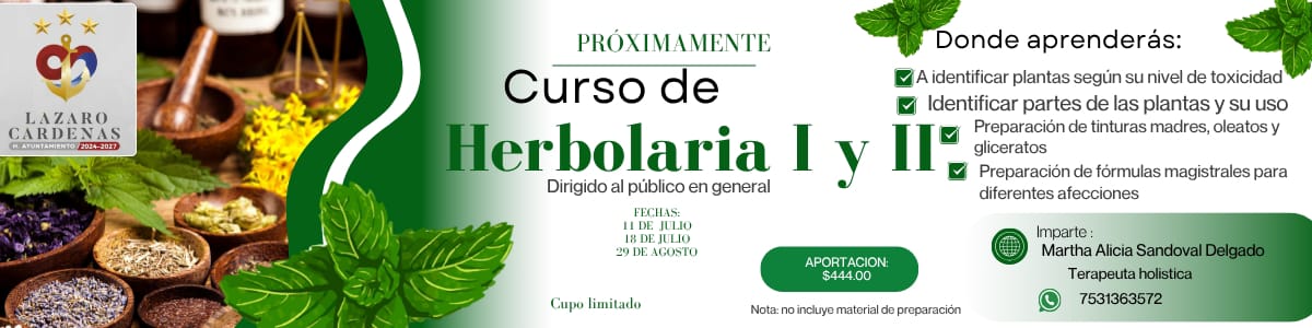 Cursos de verano en el Centro Comunitario Luis Donaldo Colosio de Lázaro Cárdenas