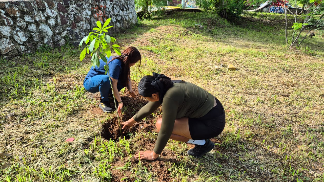 Ayuntamiento de Lázaro Cárdenas, Universidad y Preparatoria ICEP participan en campaña de reforestación Ayuntamiento de Lázaro Cárdenas, Universidad y Preparatoria ICEP participan en campaña de reforestación