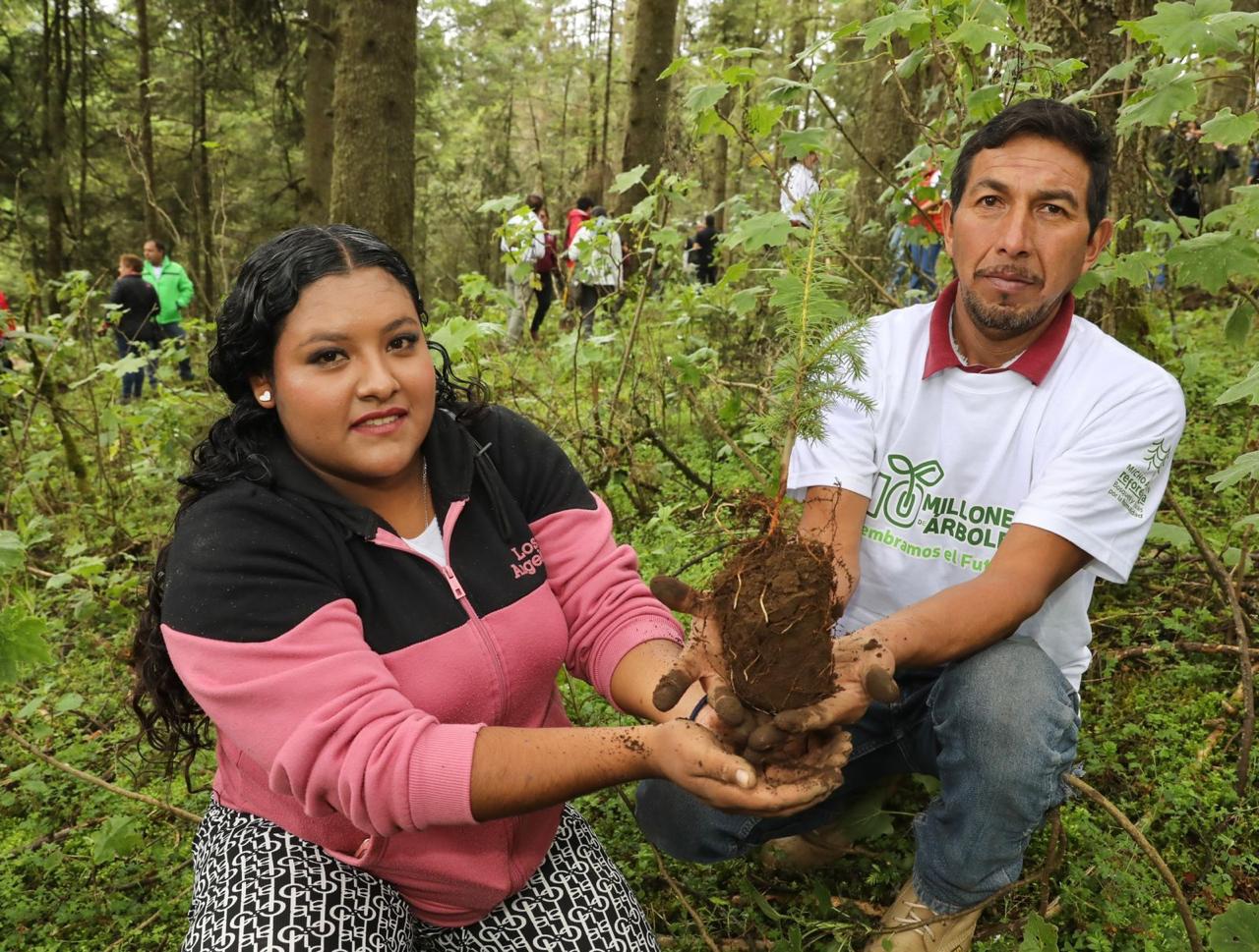 “Ejército verde” llega a 10 municipios de Michoacán con reforestación simultánea