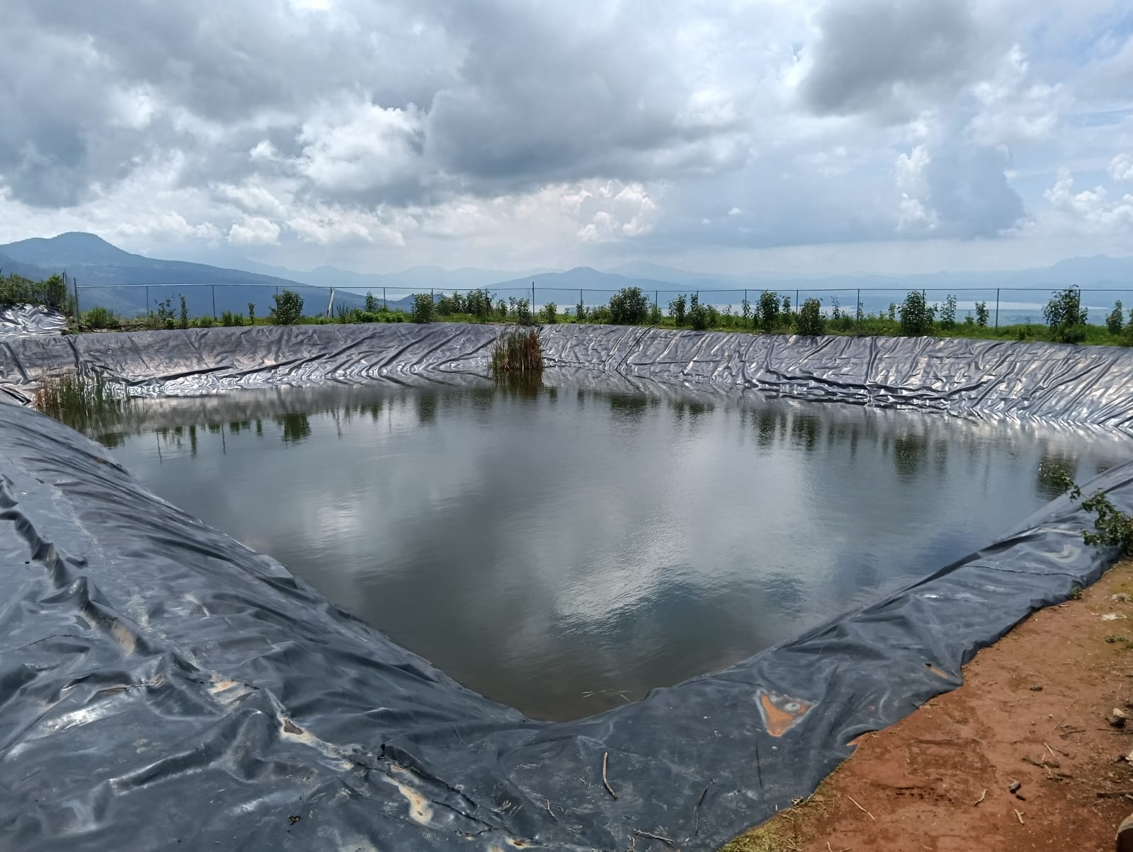 Cumplimenta FGE orden de cateo y asegura predio relacionado con delitos contra el ambiente; se detectó tala ilegal y plantación de aguacate Cumplimenta FGE orden de cateo y asegura predio relacionado con delitos contra el ambiente; se detectó tala ilegal y plantación de aguacate