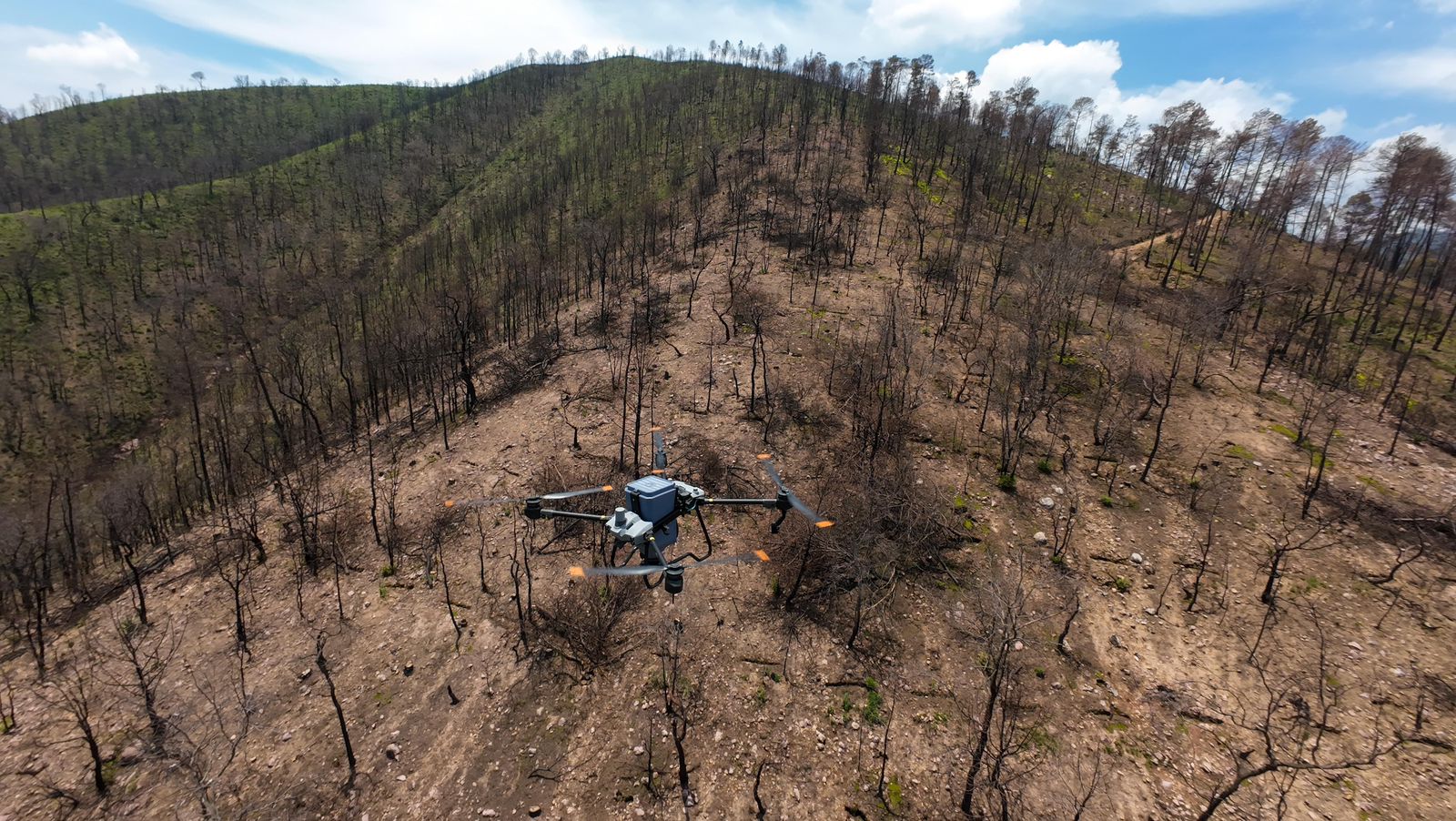 Gobierno de Michoacán combate deforestación con dron, siembra 24 mil semillas en Hidalgo Gobierno de Michoacán combate deforestación con dron, siembra 24 mil semillas en Hidalgo