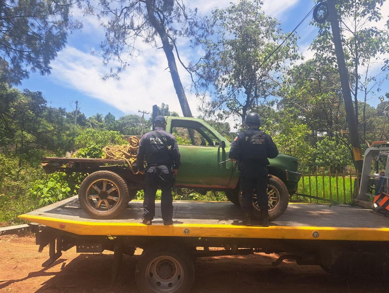 SSP asegura predio con más de 34 mil m³ afectados por tala ilegal en Uruapan