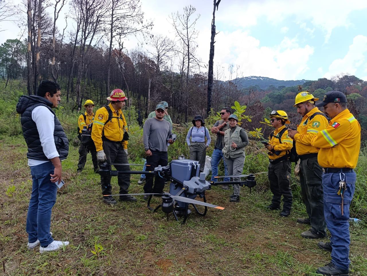 Michoacán siembra con drones 24 mil semillas de árboles en Paracho y Uruapan Michoacán siembra con drones 24 mil semillas de árboles en Paracho y Uruapan