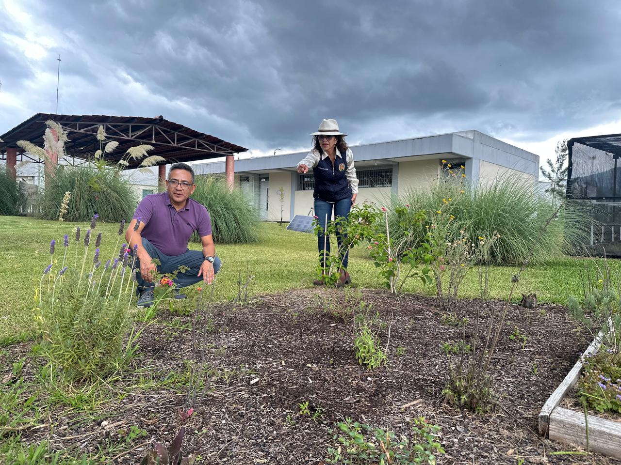 UMSNH pone en marcha proyecto de “Jardín para polinizadores”, busca abonar en el cuidado del medio ambiente UMSNH pone en marcha proyecto de “Jardín para polinizadores”, busca abonar en el cuidado del medio ambiente