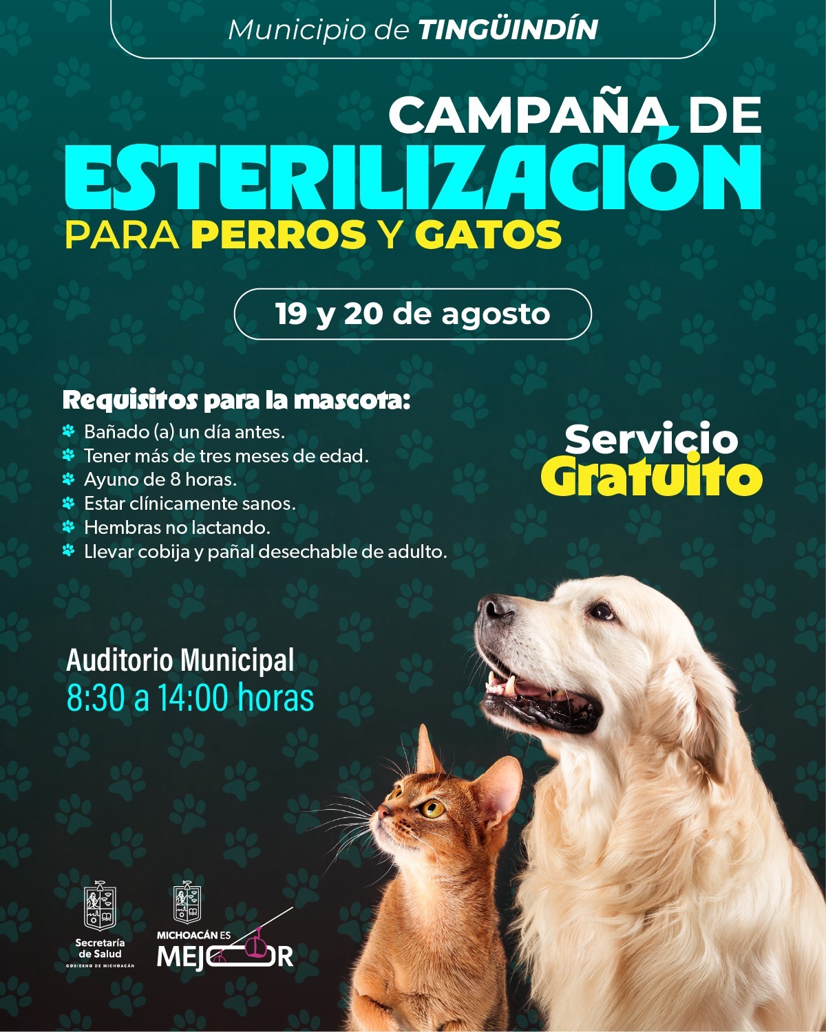 ¡Esterilización gratuita en agosto! SSM lleva jornadas a siete municipios ¡Esterilización gratuita en agosto! SSM lleva jornadas a siete municipios