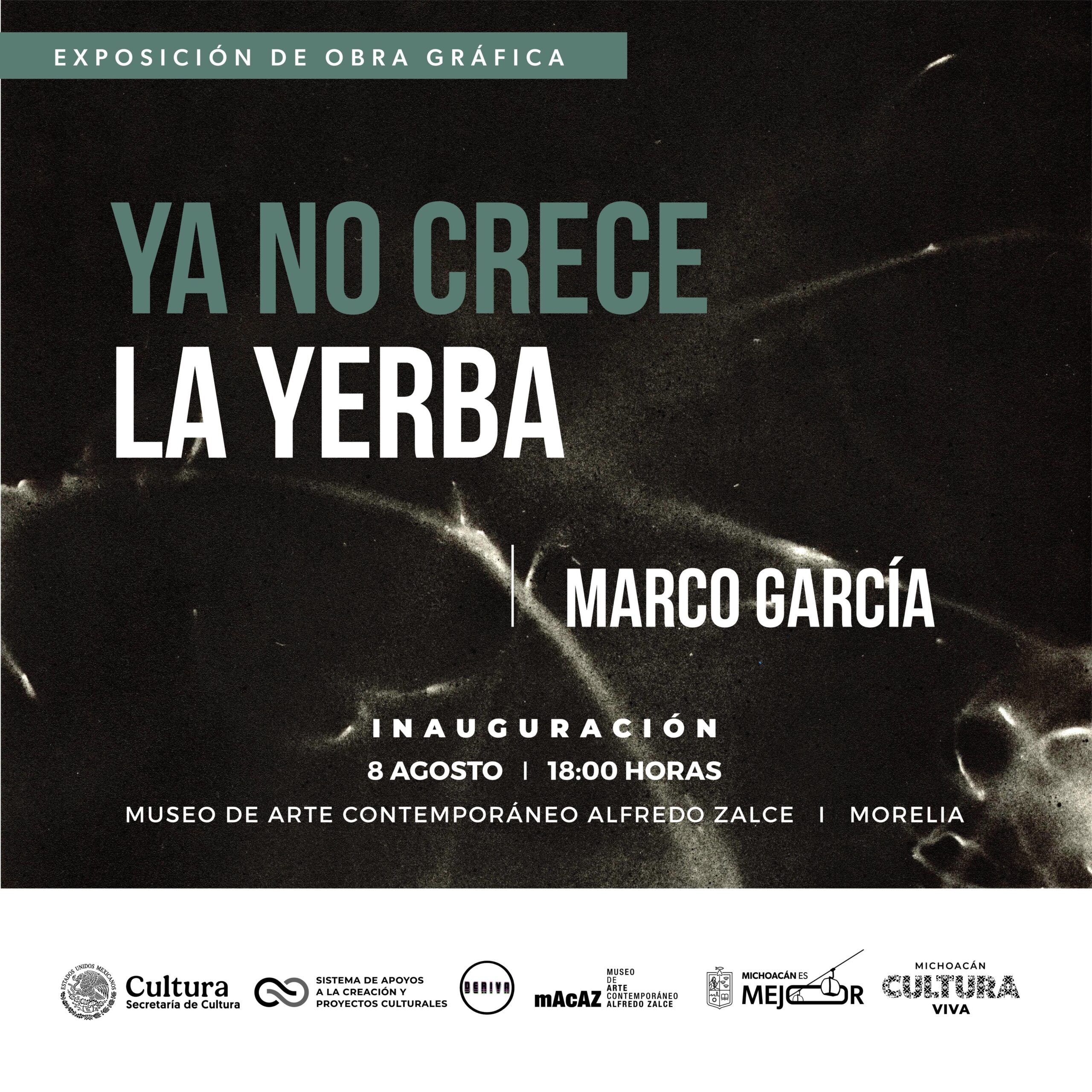 De lo textil a lo gráfico, Secum invita a dos nuevas exposiciones en el MACAZ De lo textil a lo gráfico, Secum invita a dos nuevas exposiciones en el MACAZ