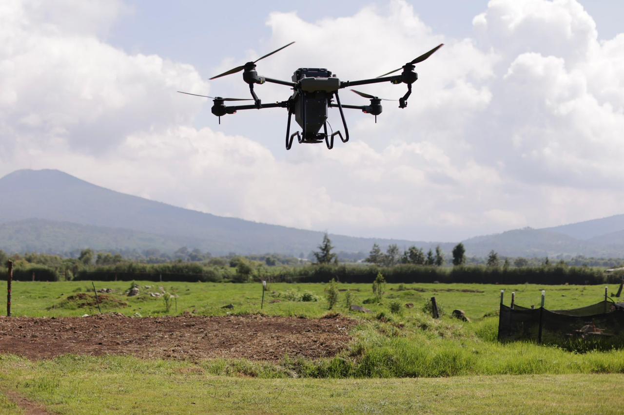 Reforestación con drones supera meta de 250 mil semillas sembradas: ARB Reforestación con drones supera meta de 250 mil semillas sembradas: ARB