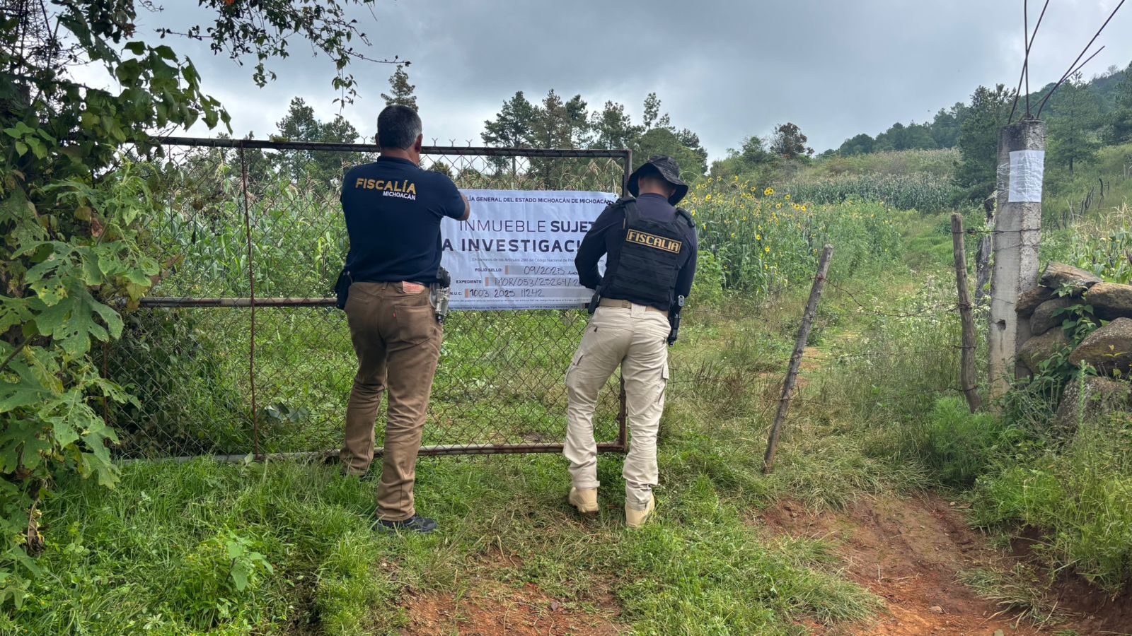 Cumplimenta FGE cateo en predio relacionado con tala ilegal en municipio de Quiroga
