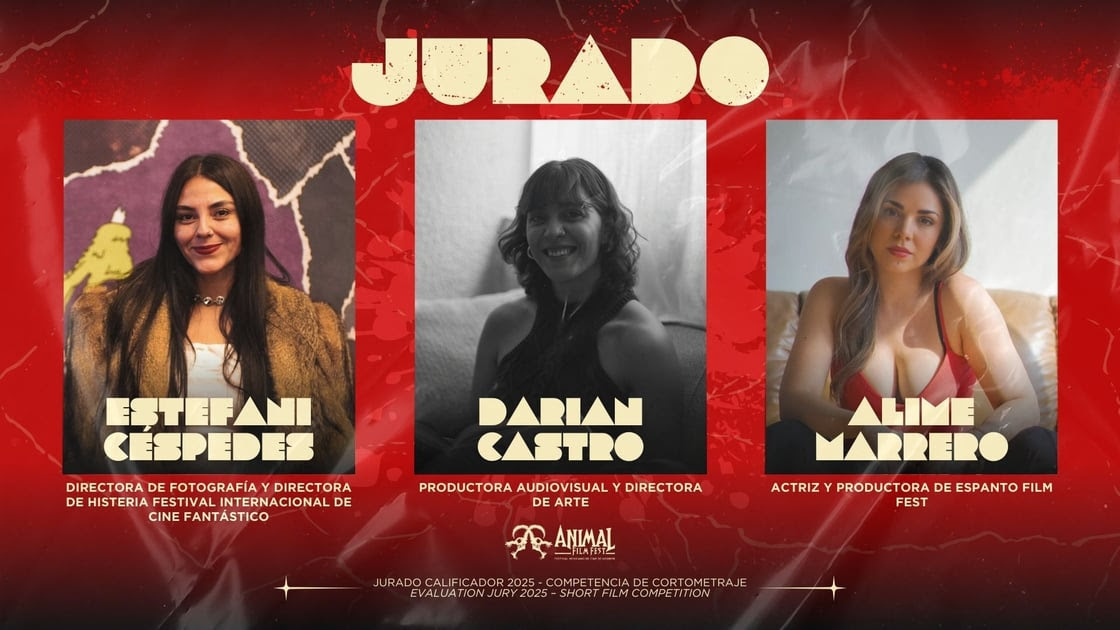 Jurado calificador 2025 AFF6