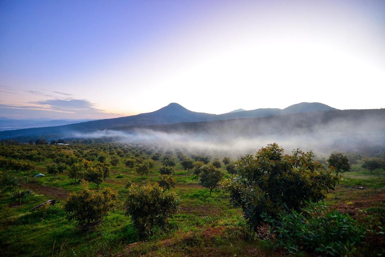 Sicuicho recibe 1.2 mdp para cuidado de sus bosques y detener la deforestación: Secma Sicuicho recibe 1.2 mdp para cuidado de sus bosques y detener la deforestación: Secma
