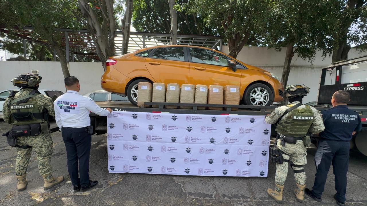 Dentro de operativo Blindaje Morelia, asegurados más de 57 kilos de mariguana: SSP Dentro de operativo Blindaje Morelia, asegurados más de 57 kilos de mariguana: SSP