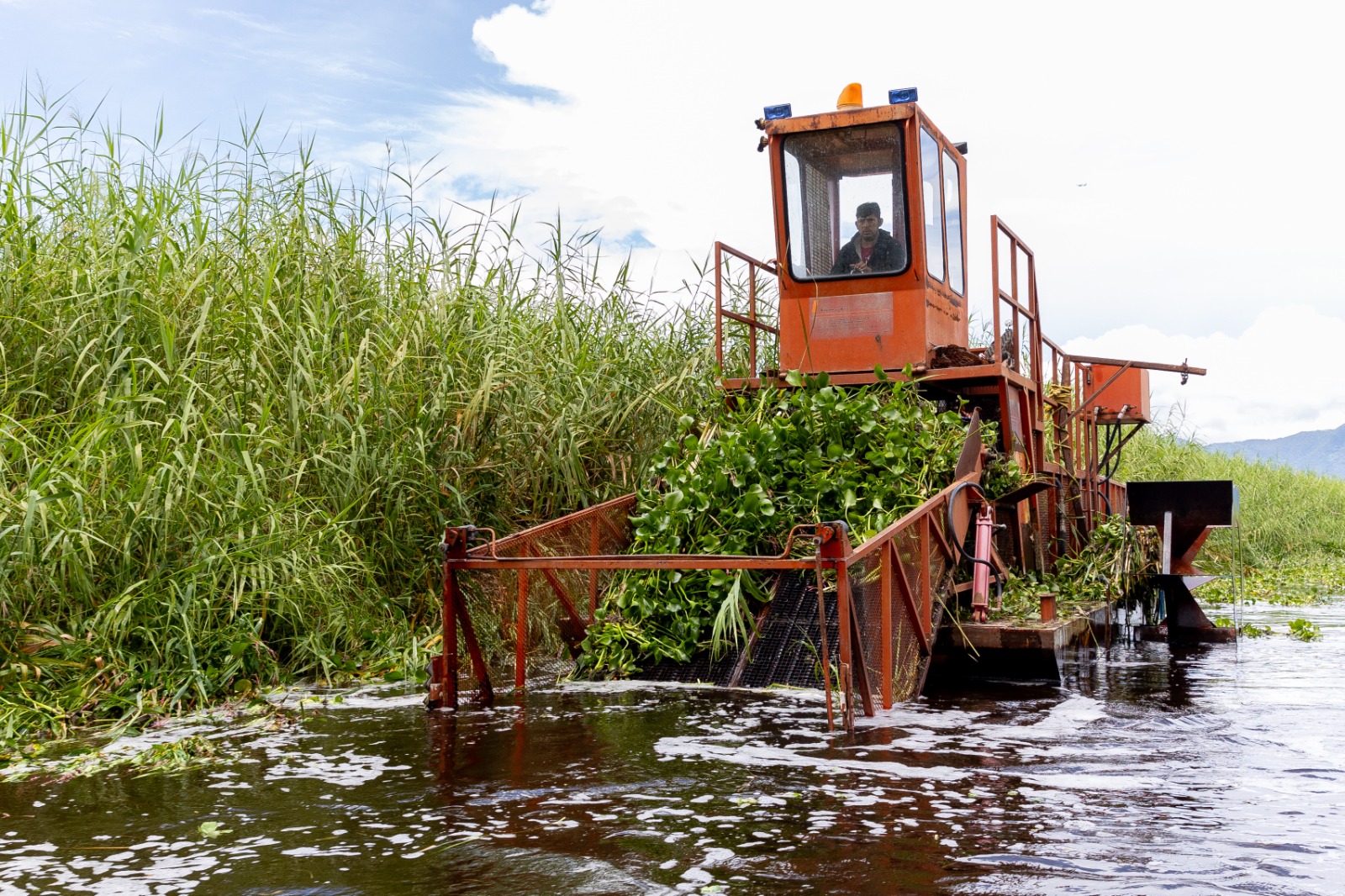 Inicia programa para rehabilitar más de 60 hectáreas del lago de Cuitzeo: Compesca Inicia programa para rehabilitar más de 60 hectáreas del lago de Cuitzeo: Compesca