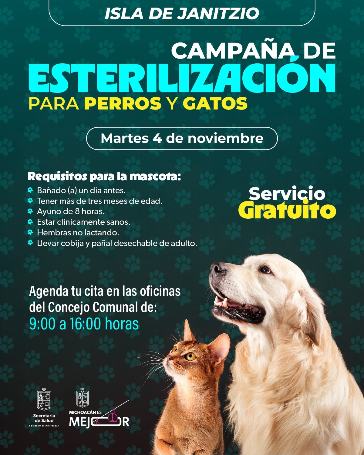 SSM llevará jornada gratuita de esterilización animal a la isla de Janitzio SSM llevará jornada gratuita de esterilización animal a la isla de Janitzio