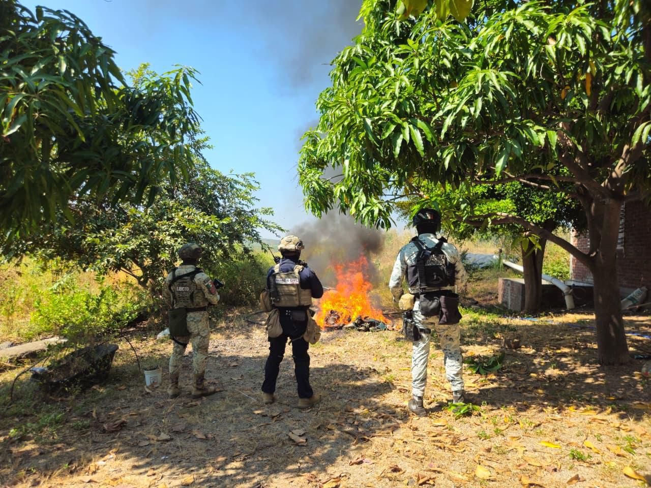 Desmantelados 4 campamentos clandestinos en Buenavista: SSP