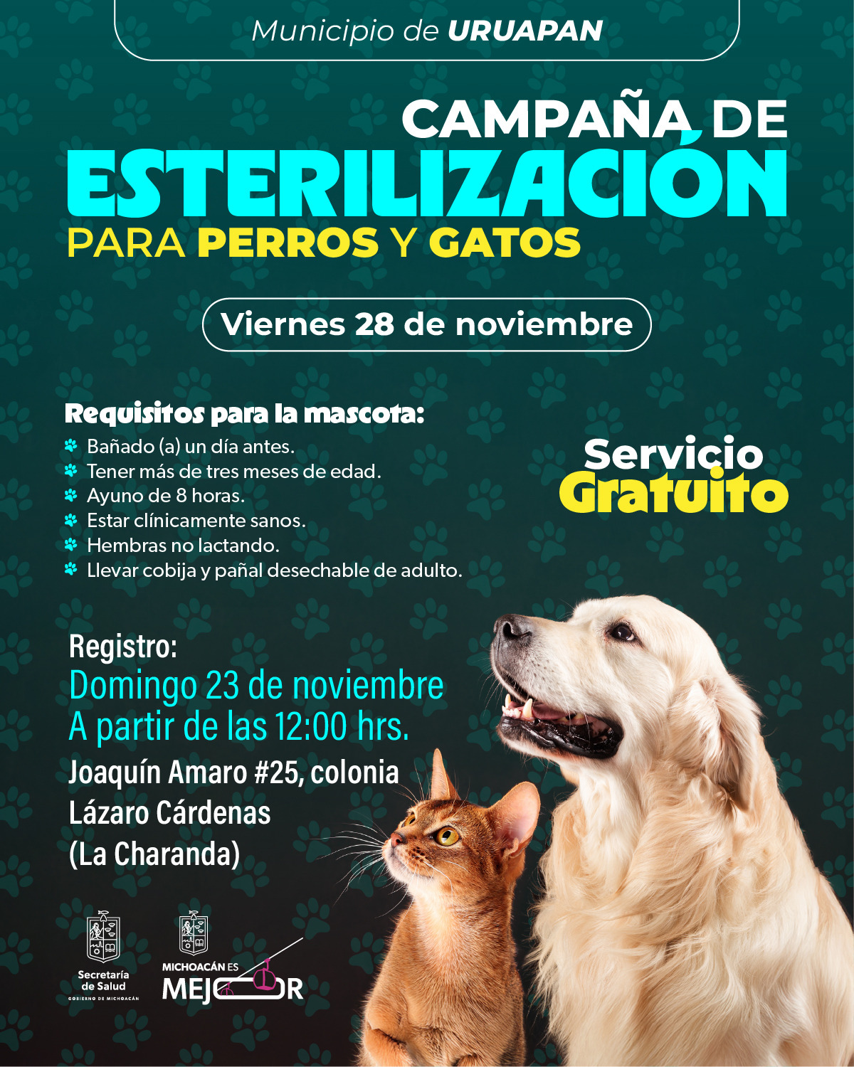 SSM lleva esterilización animal gratuita a Santa Ana Maya y Uruapan SSM lleva esterilización animal gratuita a Santa Ana Maya y Uruapan