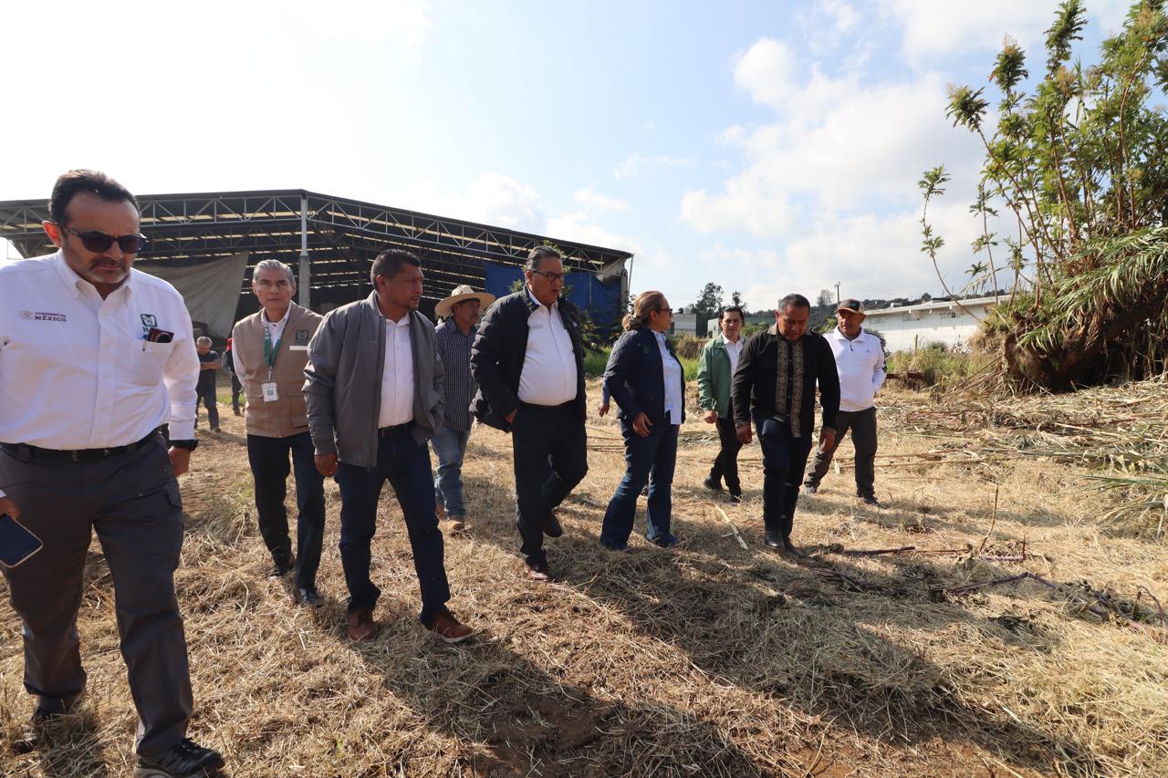 Construirá IMSS Unidad de Medicina Familiar en San Juan Nuevo Parangaricutiro Construirá IMSS Unidad de Medicina Familiar en San Juan Nuevo Parangaricutiro