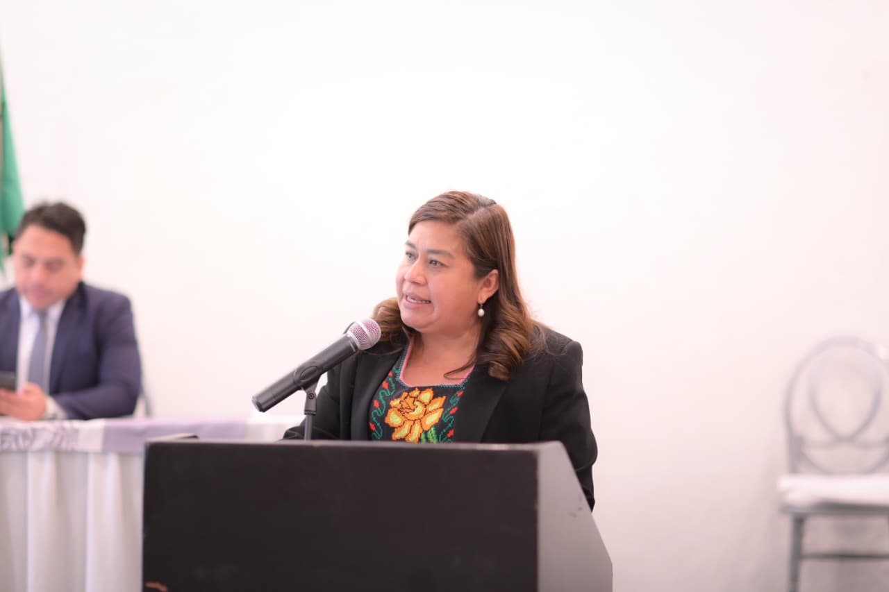 Belinda Iturbide propone ante el pleno promover inclusión laboral de personas con discapacidad