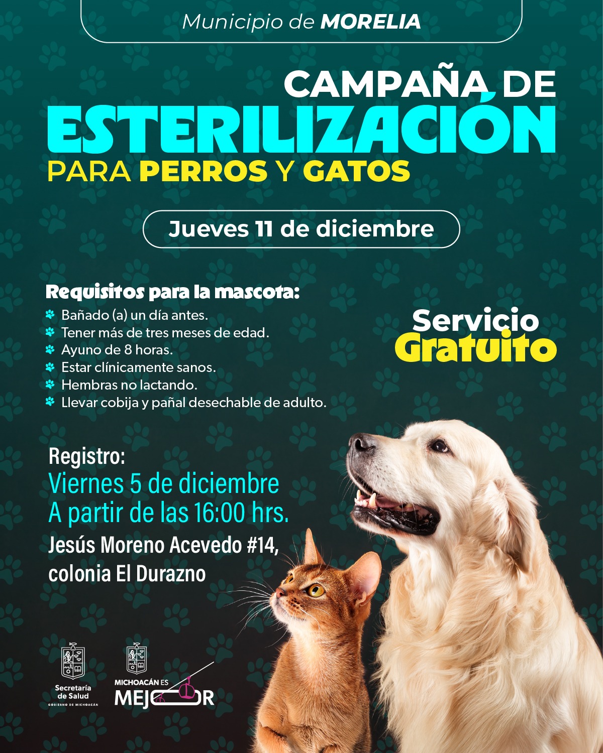 SSM realizará jornada gratuita de esterilización para perros y gatos en Morelia SSM realizará jornada gratuita de esterilización para perros y gatos en Morelia
