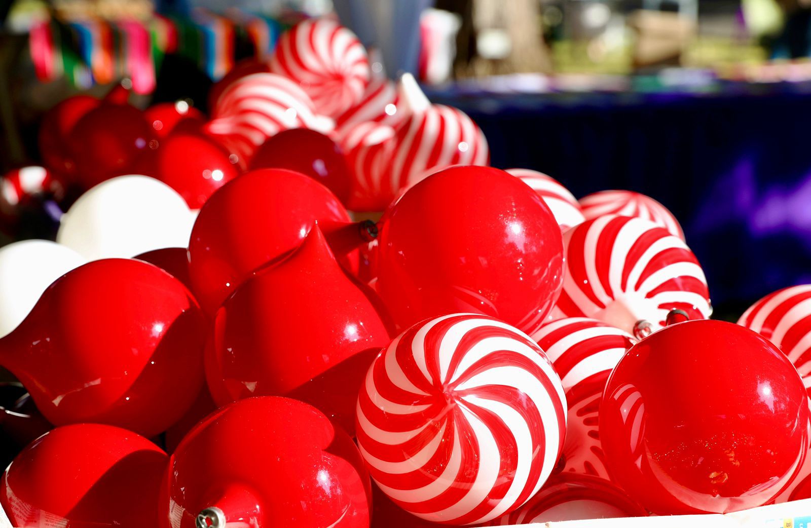 Inaugura ARB la Feria del Bosque Navideño; impulsa economía de 20 municipios Inaugura ARB la Feria del Bosque Navideño; impulsa economía de 20 municipios