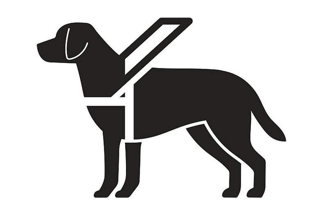 Poder Judicial de Michoacán, primer tribunal del país en incorporar formalmente la perspectiva de seres sintientes en su política pública