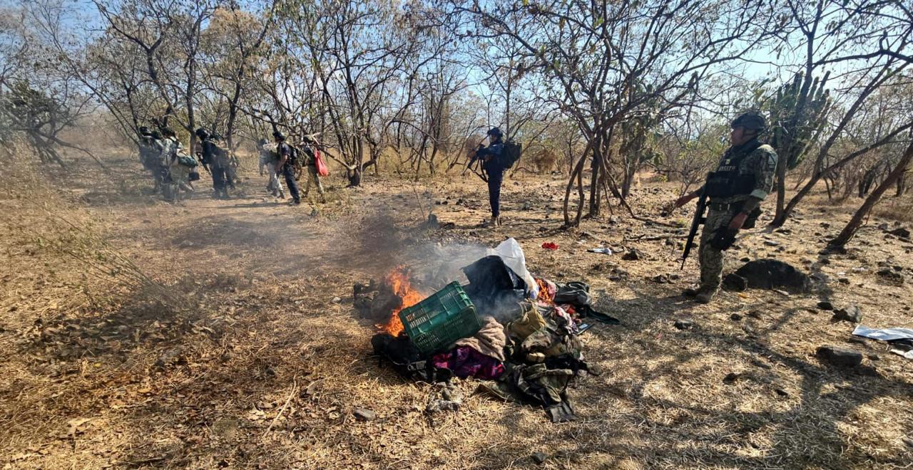 SSP destruye en Buenavista campamento ilícito y asegura 3 vehículos con reporte de robo SSP destruye en Buenavista campamento ilícito y asegura 3 vehículos con reporte de robo