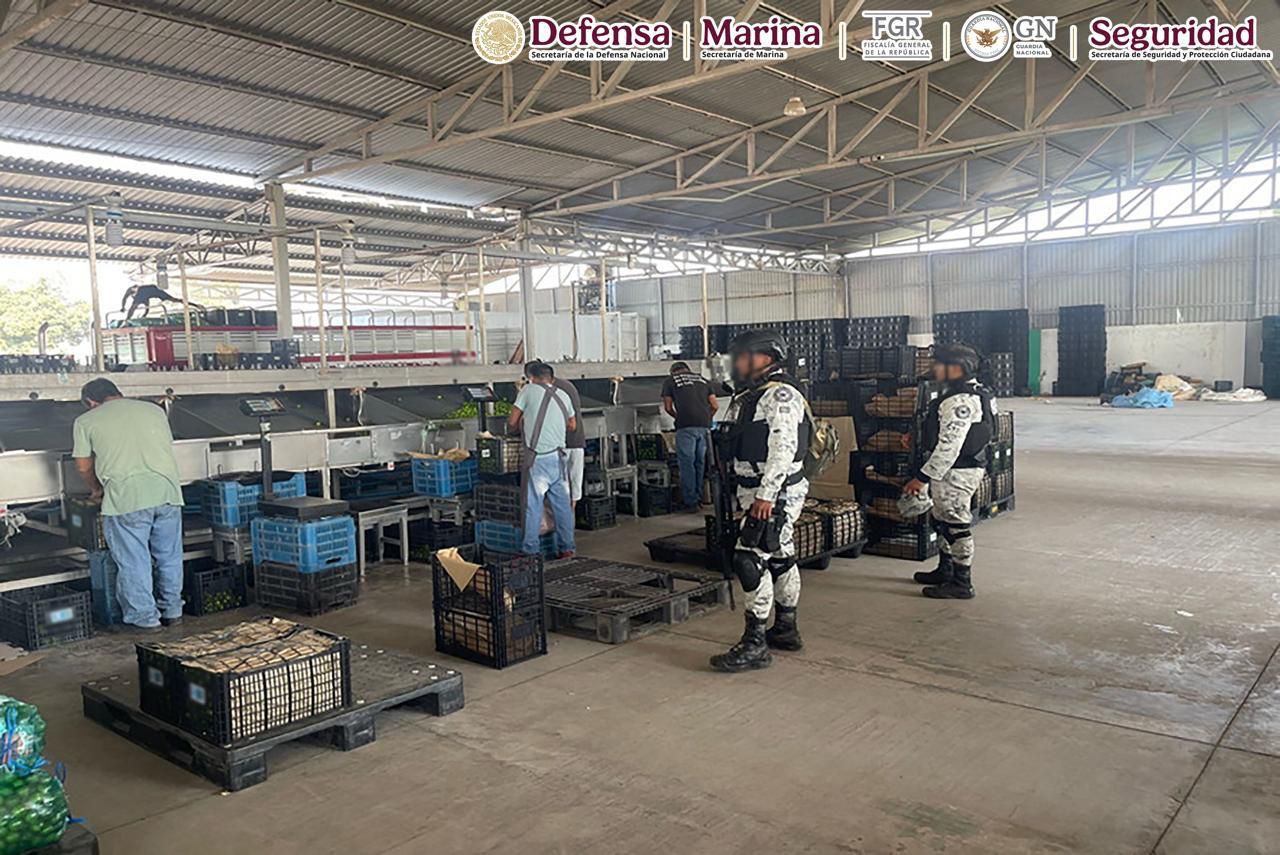 En Michoacán detienen a 16 personas, aseguran armas, explosivos y vehículos.