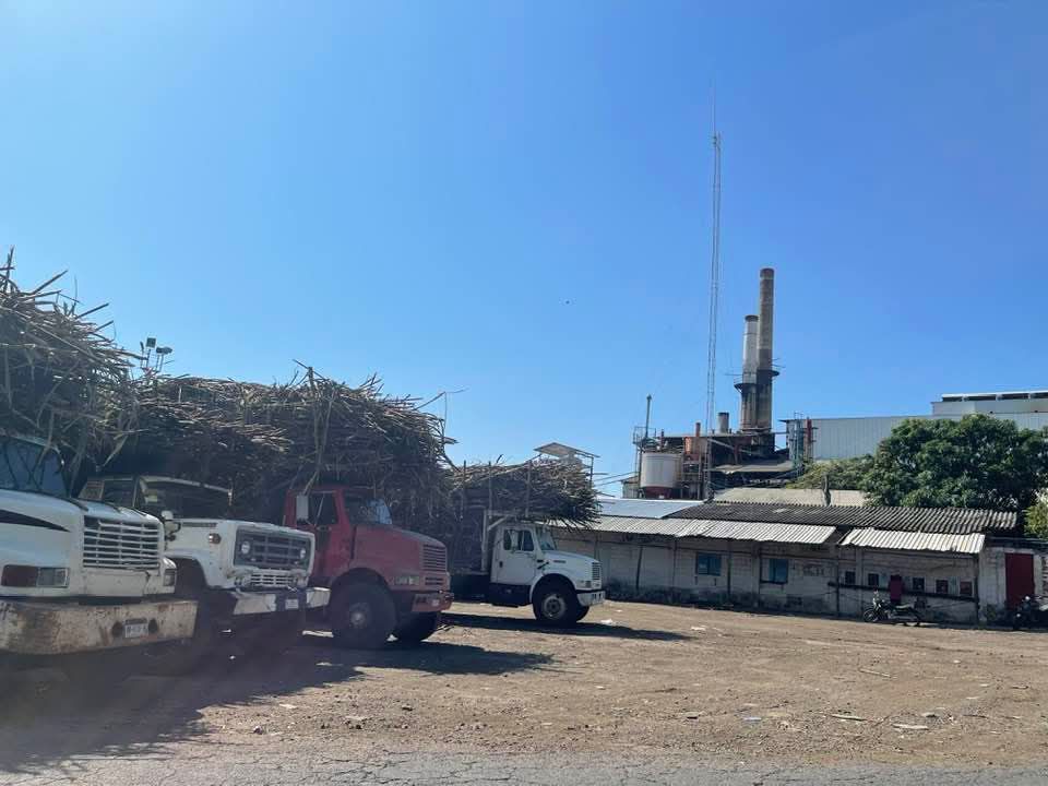 353 millones de pesos para transformar el sector cañero en Michoacán: Sader