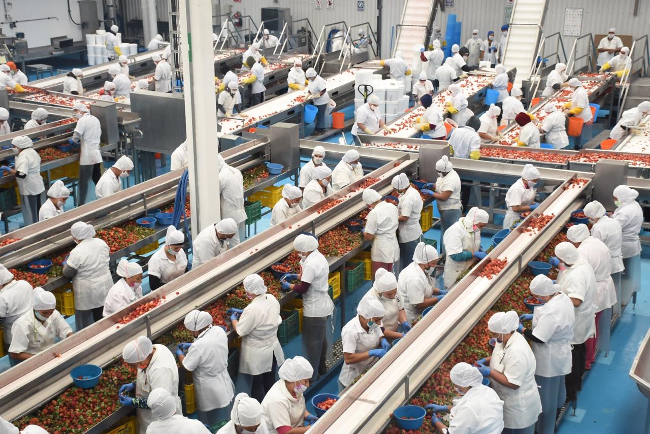 Aumento al salario mínimo entró en vigor este 1 de enero