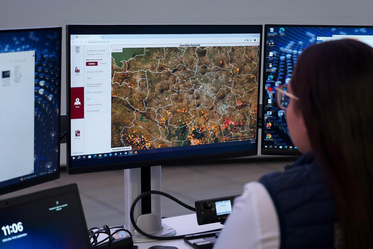 Con Guardián Forestal, suman mil predios denunciados por deforestación en Michoacán: Secma Con Guardián Forestal, suman mil predios denunciados por deforestación en Michoacán: Secma