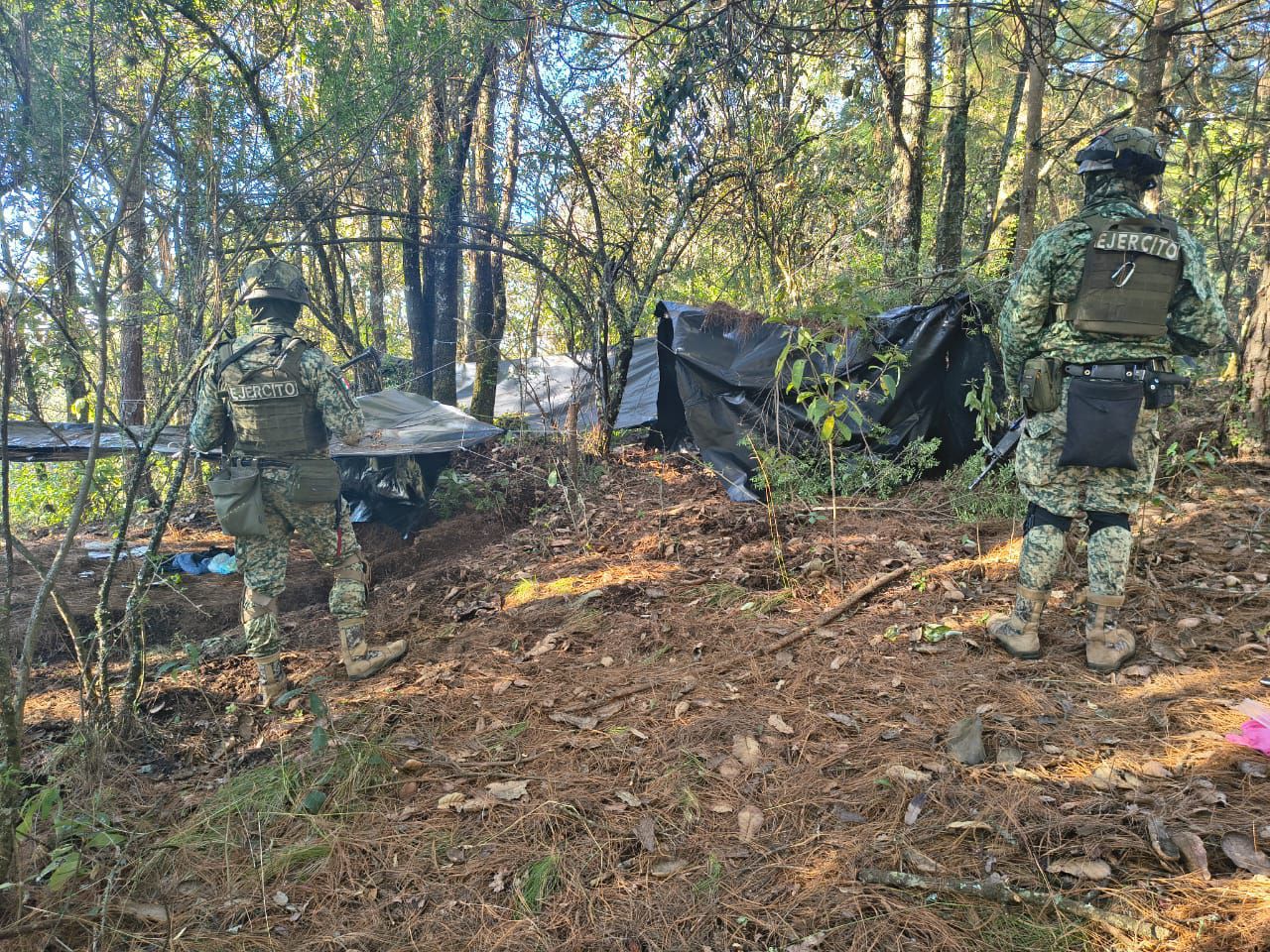 SSP inhabilita 2 campamentos ilícitos y asegura 2 vehículos en Salvador Escalante