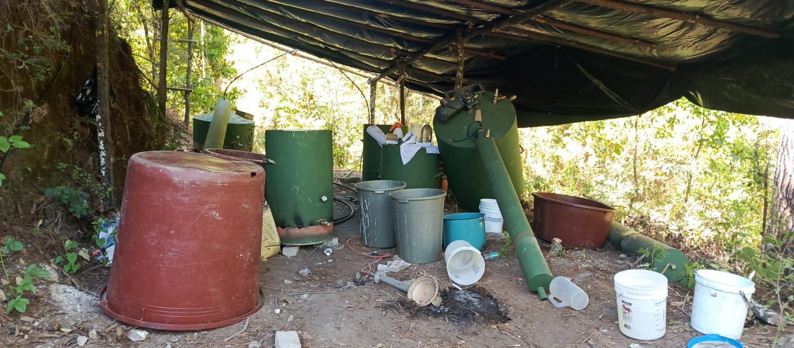 SSP localiza y destruye laboratorio clandestino en Madero SSP localiza y destruye laboratorio clandestino en Madero