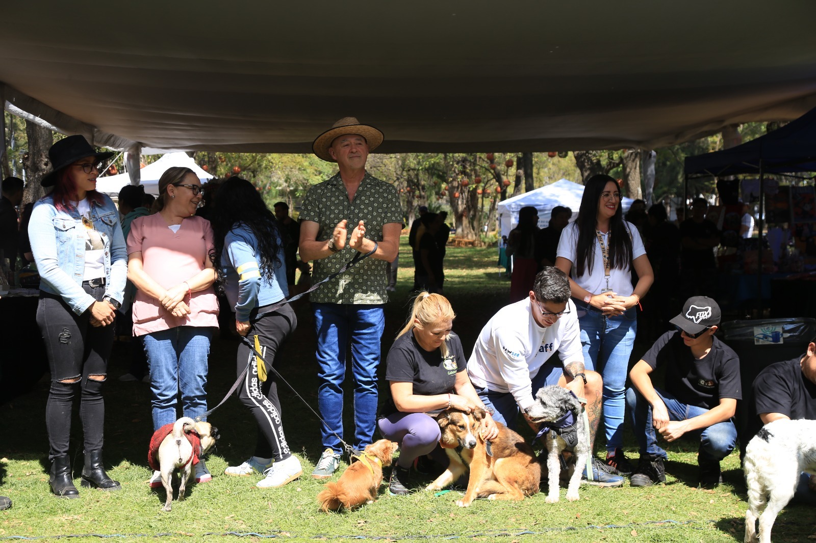 Huella Solidaria FGE; adopción, denuncia y corresponsabilidad social a favor del bienestar animal