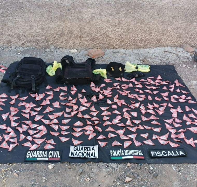 Aseguradas 270 dosis de metanfetamina en Zamora: SSP