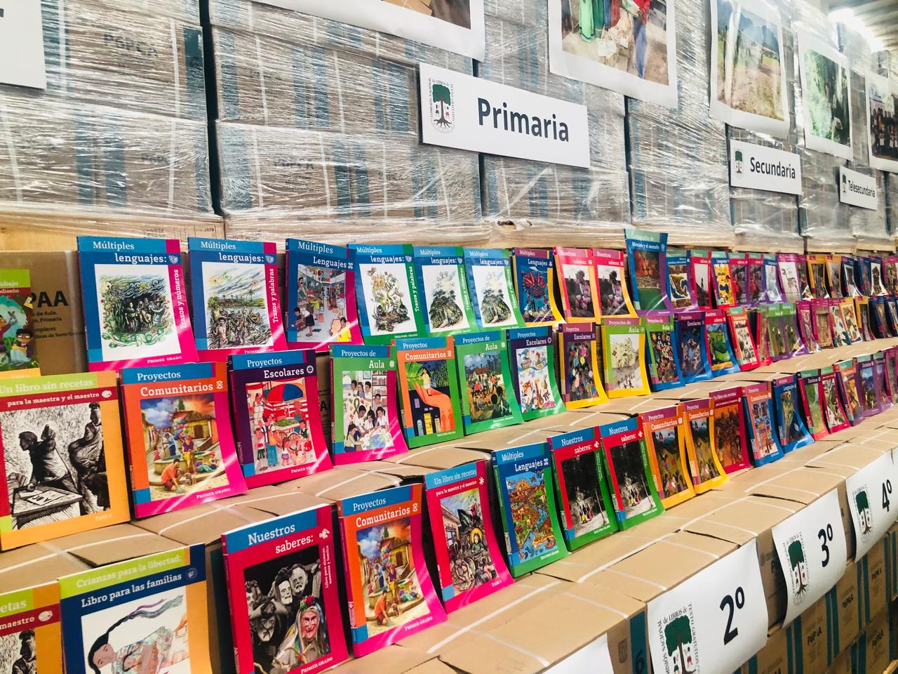 Libros de texto comienzan a llegar a Michoacán: Gabriela Molina