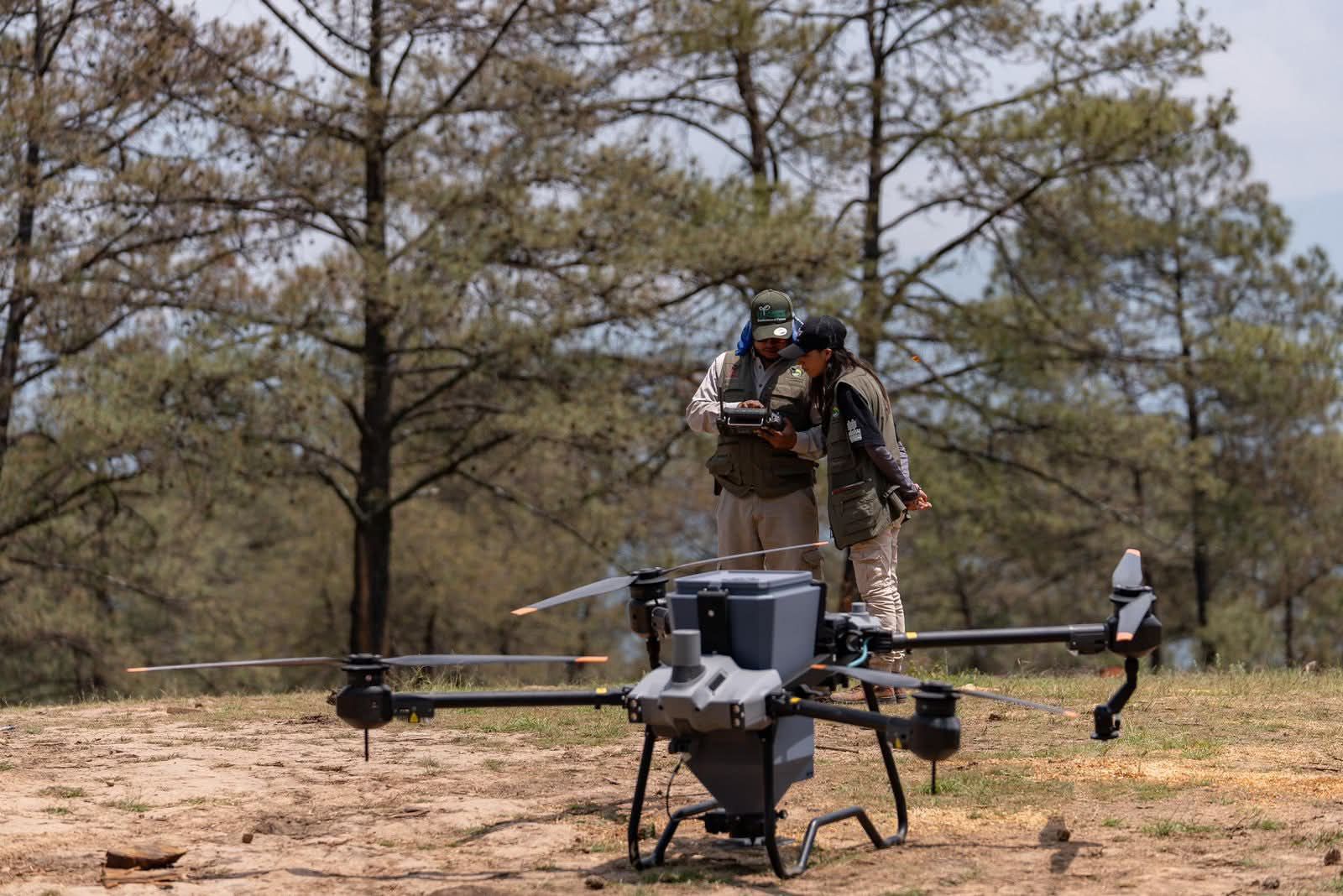 Michoacán alcanza cifra récord de 3.3 millones de árboles plantados en la Reserva de la Monarca Michoacán alcanza cifra récord de 3.3 millones de árboles plantados en la Reserva de la Monarca